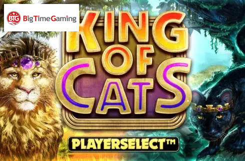 King of Cats